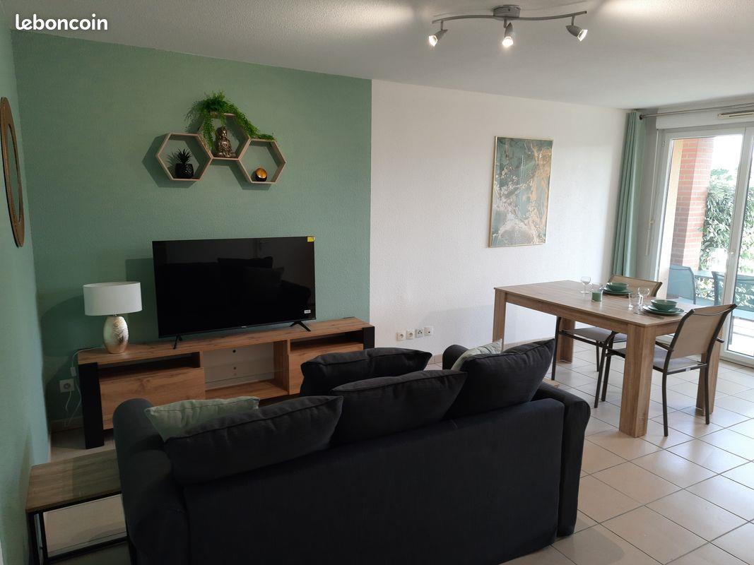 Appartement à louer, 41m², La Salvetat-Saint-Gilles