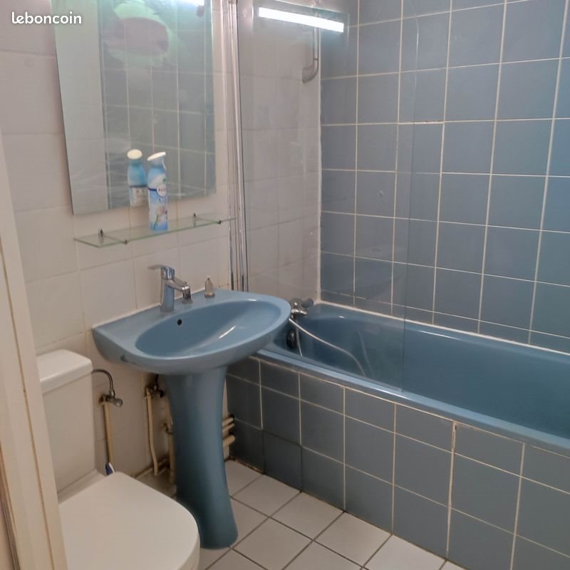 Appartement à louer, 39m², Strasbourg