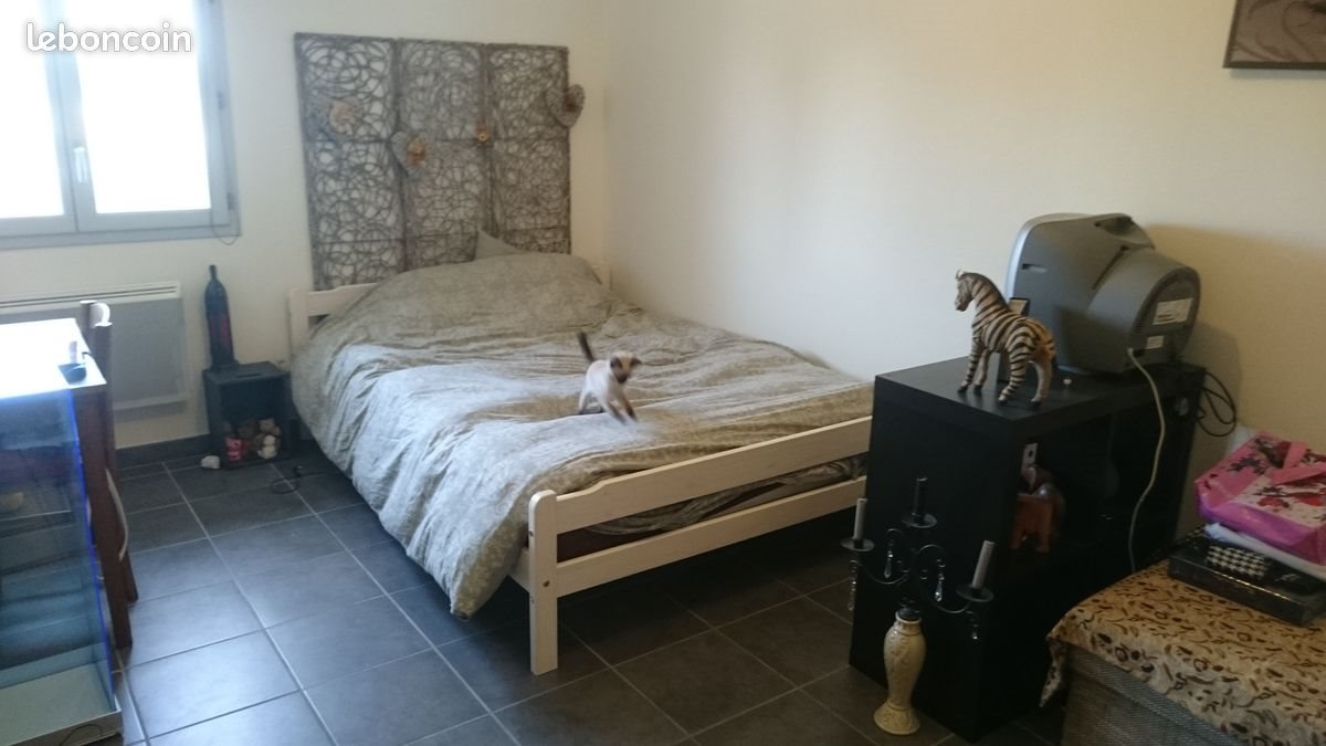 Appartement à louer, 60m², Dagneux