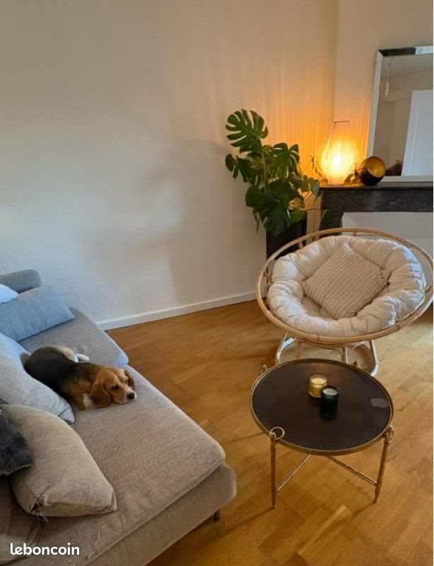 Appartement à louer, 50m², Toulouse