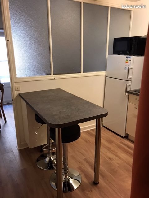 Appartement à louer, 19m², Lyon 1er