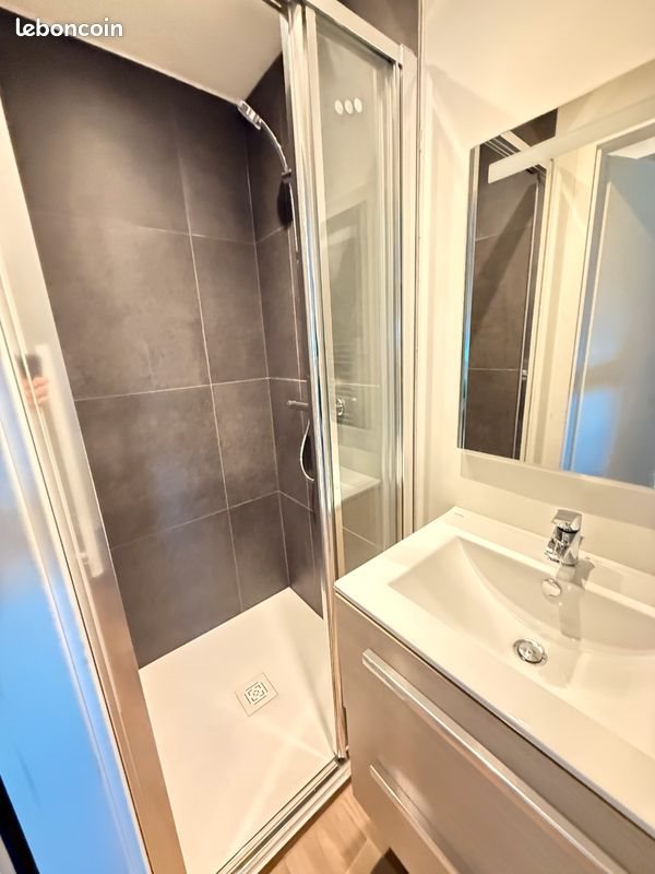 Appartement à louer, 19m², Strasbourg