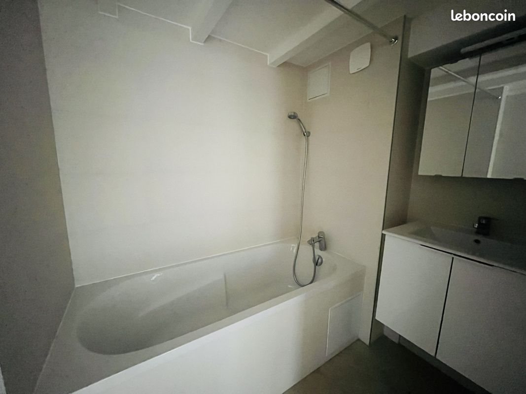 Appartement à louer, 46m², Lille