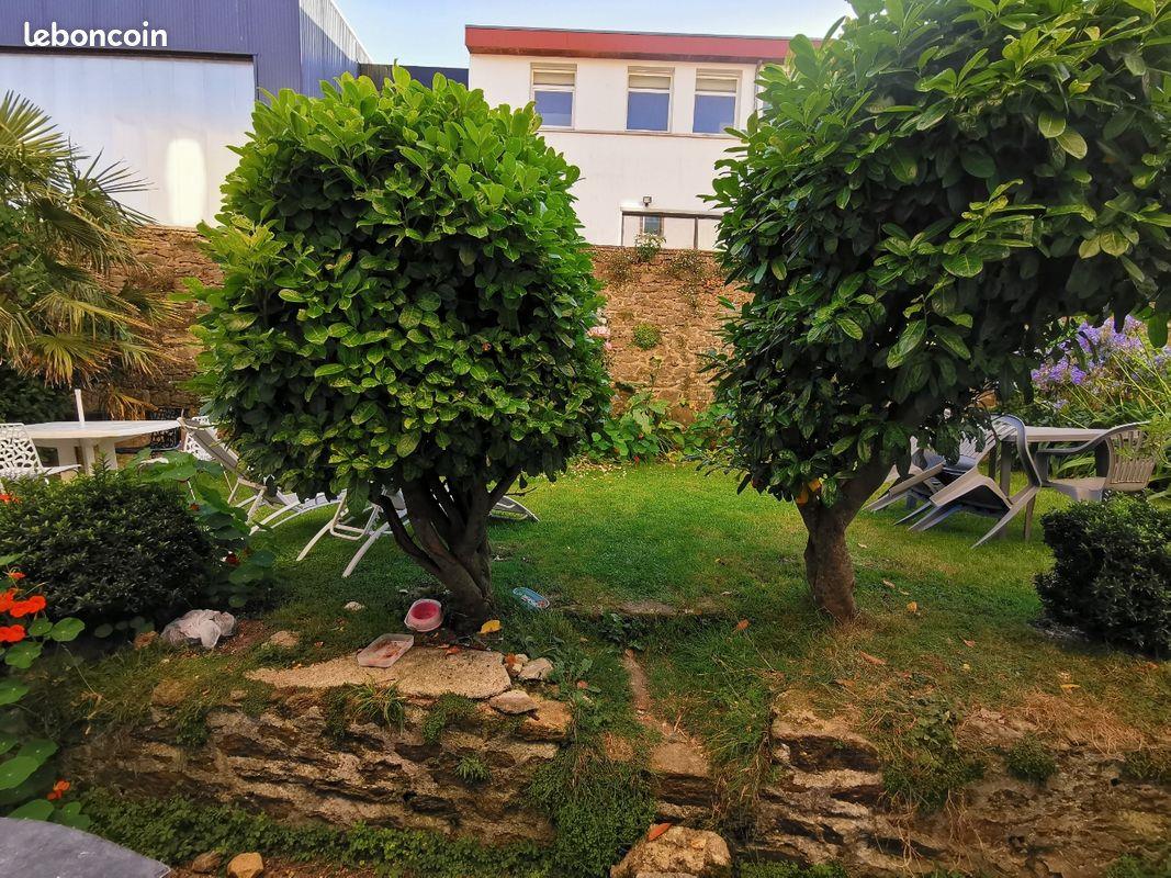 Appartement à louer, 16m², Brest