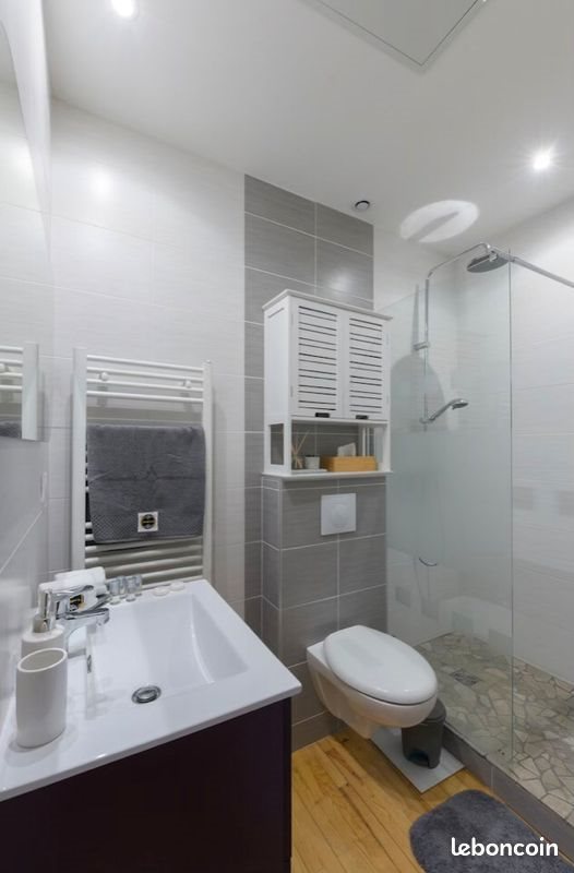 Appartement à vendre, 44m², Saint-Etienne