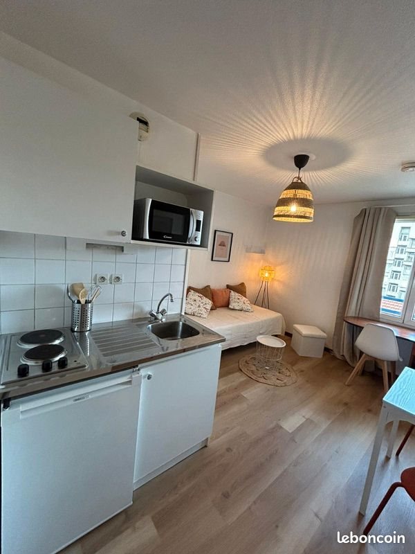 Appartement à louer, 19m², Saint-Etienne