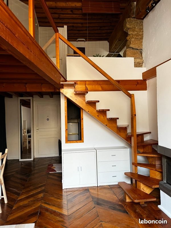 Appartement à louer, 48m², Lyon 1er