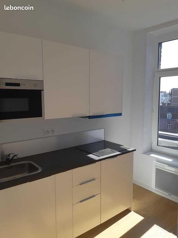 Appartement à vendre, 40m², Lille
