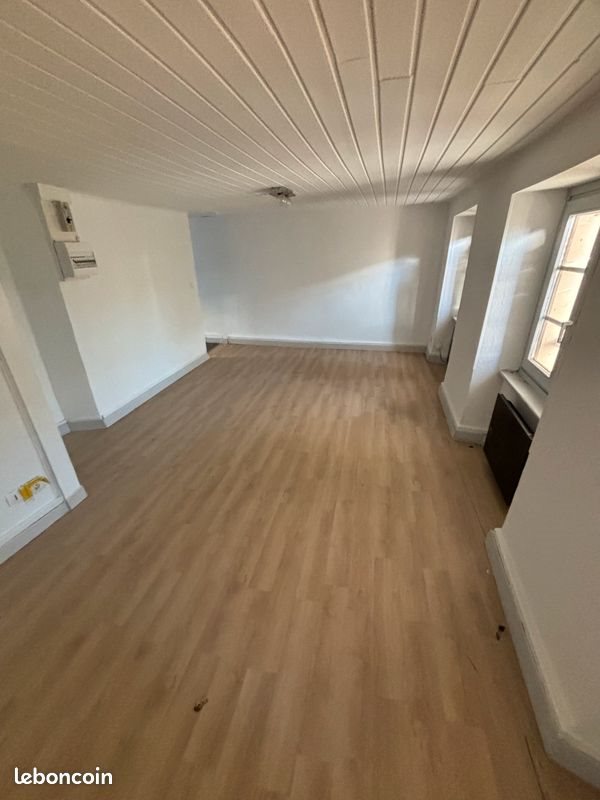Appartement à louer, 60m², Altkirch