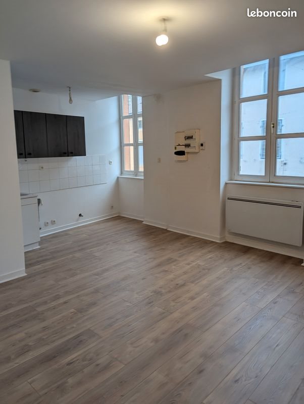 Appartement à louer, 39m², Bâgé-le-Châtel