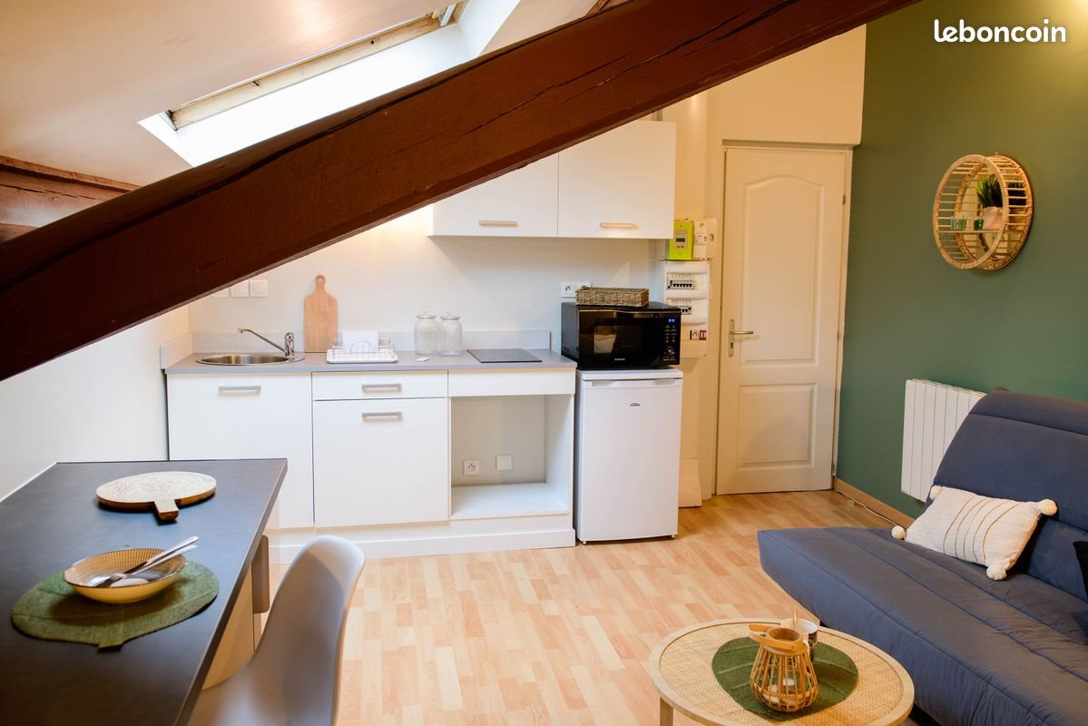 Appartement à louer, 18m², Saint-Etienne