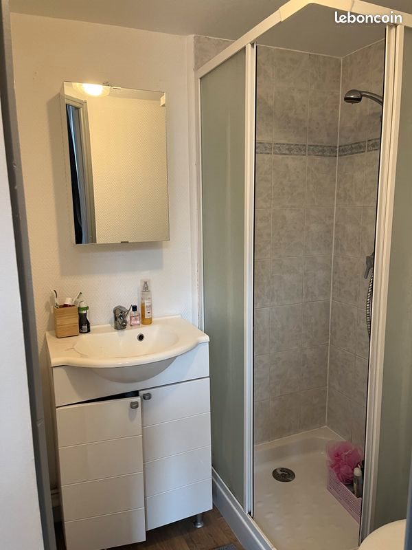 Appartement à louer, 20m², Lille