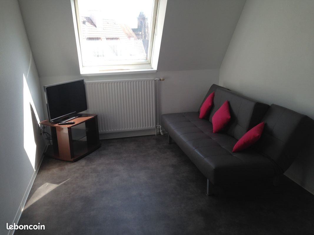 Appartement à louer, 38m², Colmar
