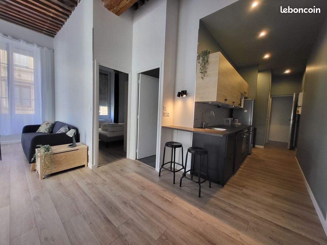 Appartement à louer, 43m², Lyon 3ème