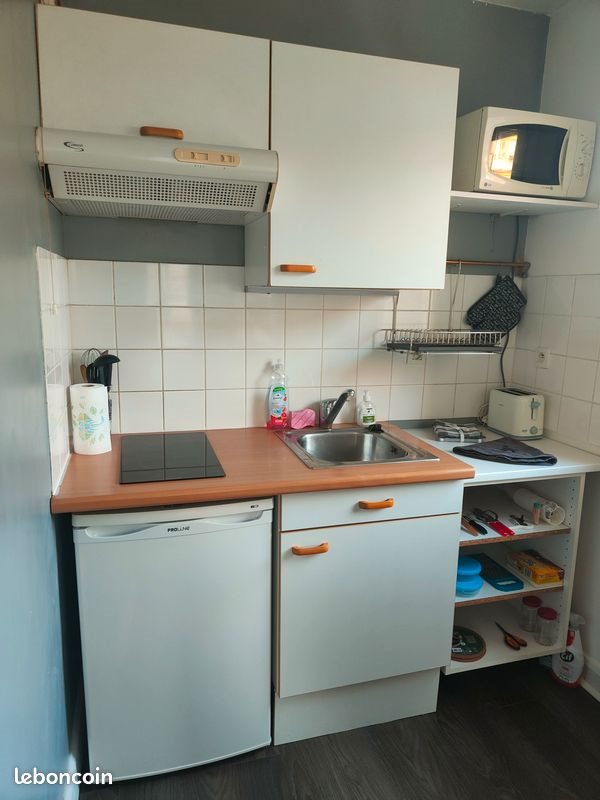 Appartement à louer, 49m², Lille