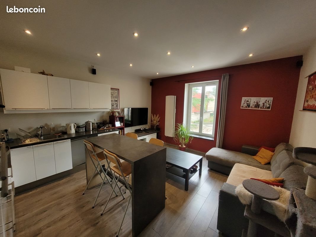 Appartement à louer, 50m², Villeurbanne