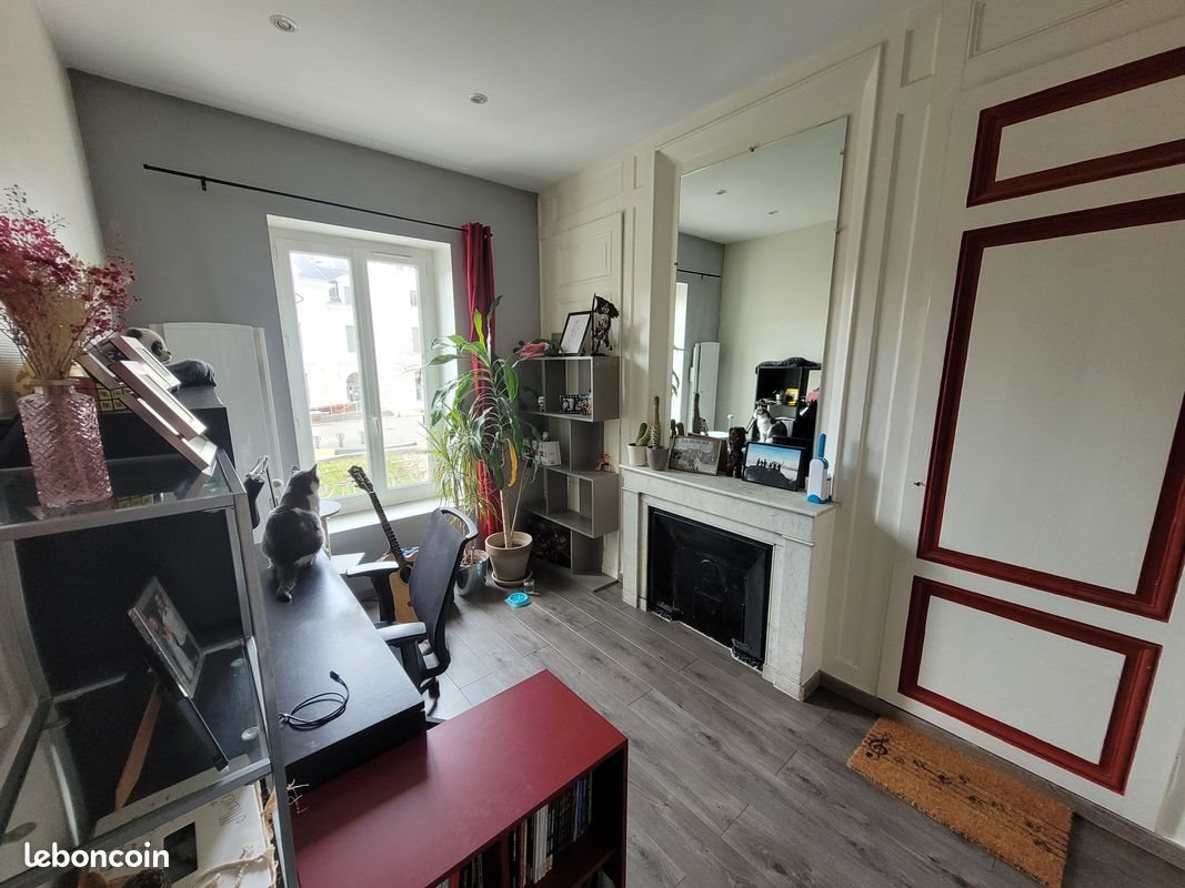 Appartement à louer, 50m², Villeurbanne