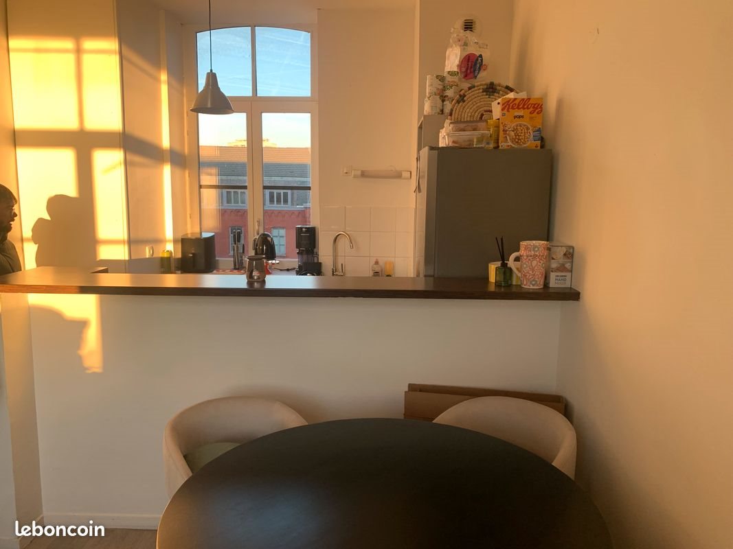 Appartement à louer, 43m², Roubaix