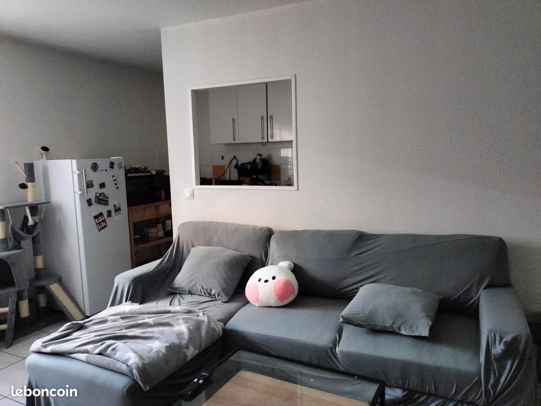 Appartement à louer, 48m², Pont-du-Château