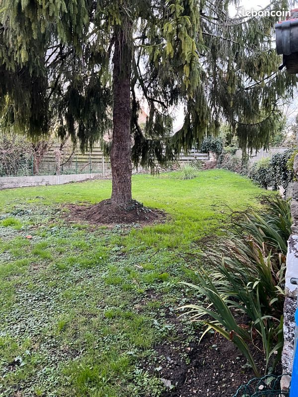 Maison à louer, 64m², Bréhal