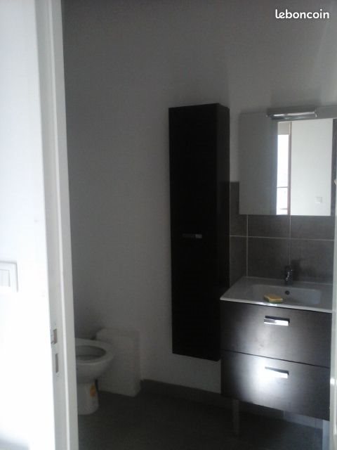 Appartement à louer, 30m², Saint-Etienne