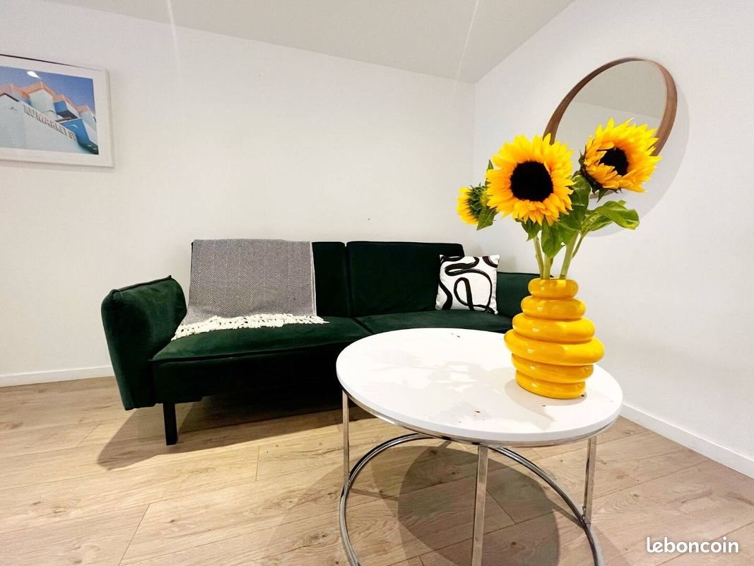 Appartement à louer, 33m², Metz