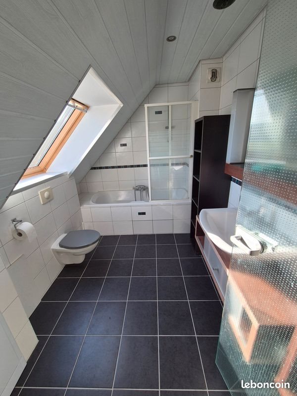 Appartement à louer, 66m², Hégenheim