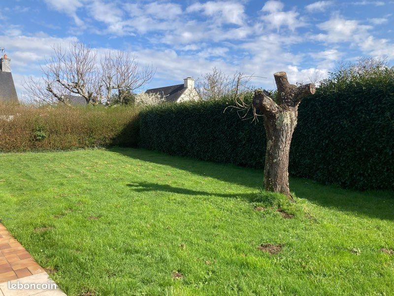 Maison à louer, 100m², Vannes