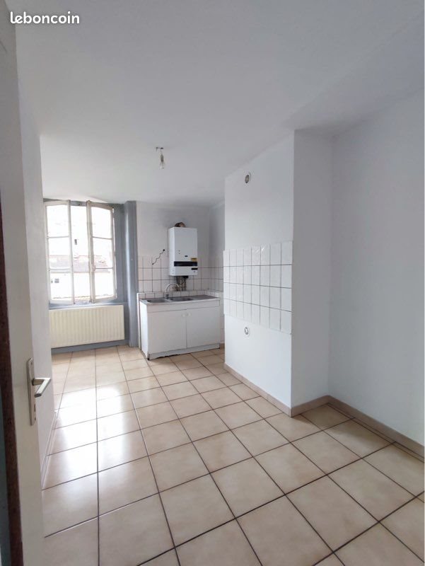 Appartement à vendre, 55m², Saint-Etienne