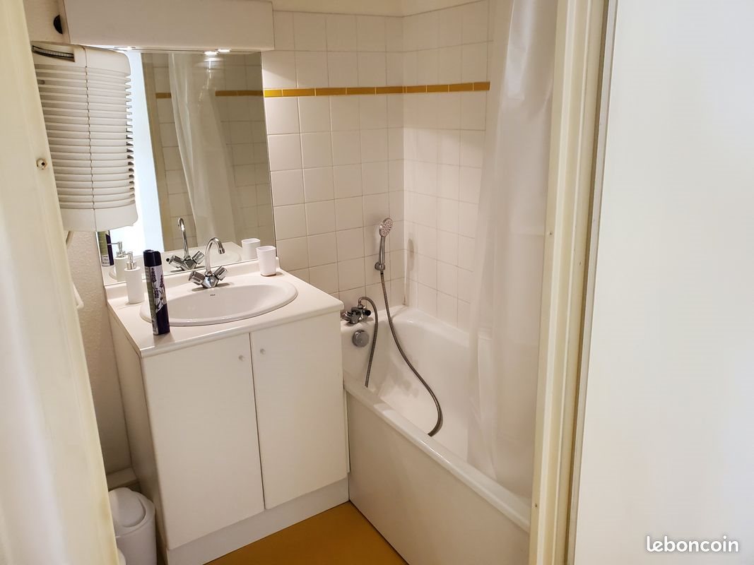 Appartement à vendre, 19m², Saint-Etienne