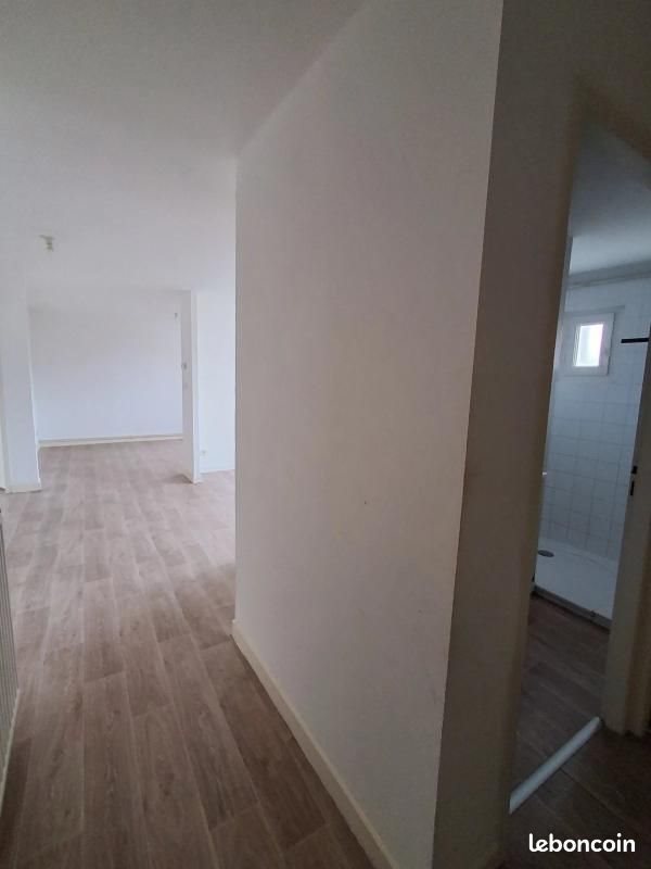 Appartement à louer, 56m², Le Chambon-Feugerolles
