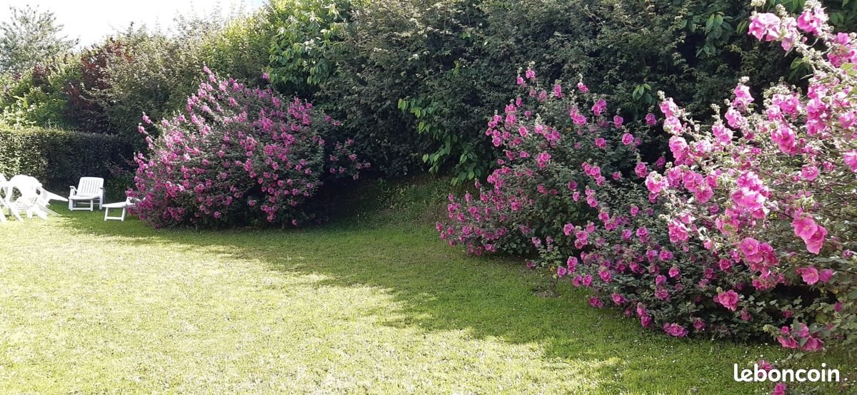 Maison à louer, 93m², Saint-Lô
