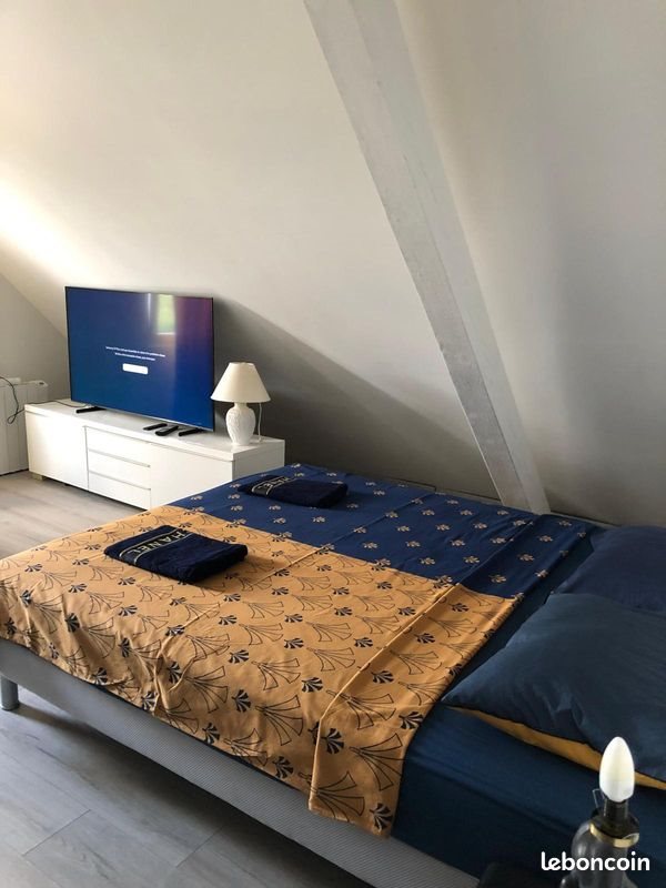 Appartement à louer, 20m², Andolsheim