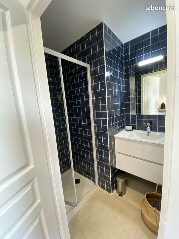 Appartement à louer, 25m², Lyon 5ème