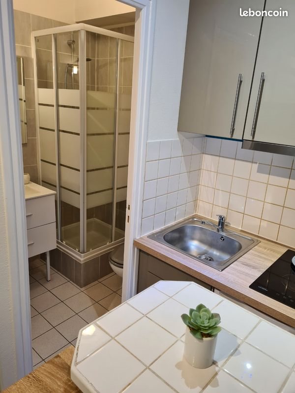 Appartement à louer, 16m², Brest