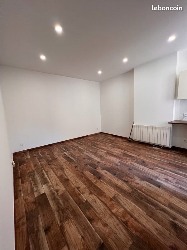 Appartement à vendre, 25m², Saint-Etienne