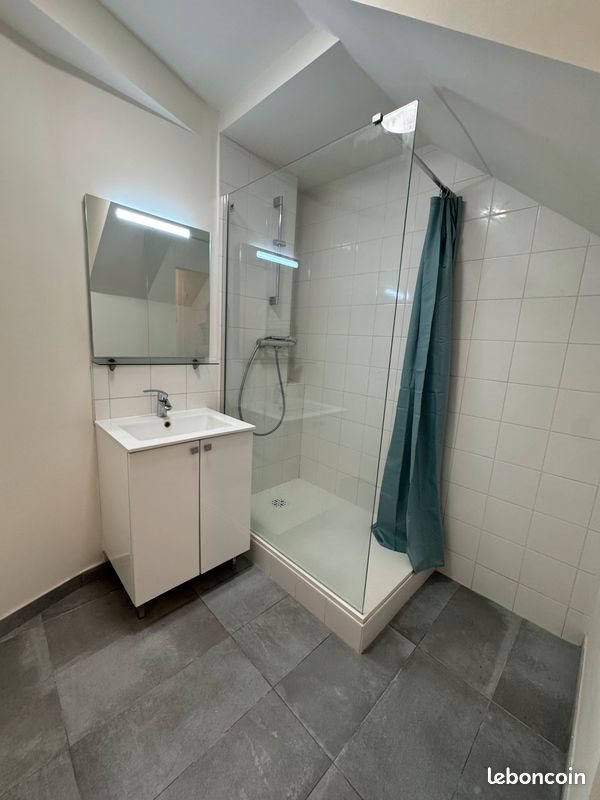 Appartement à louer, 28m², Lille