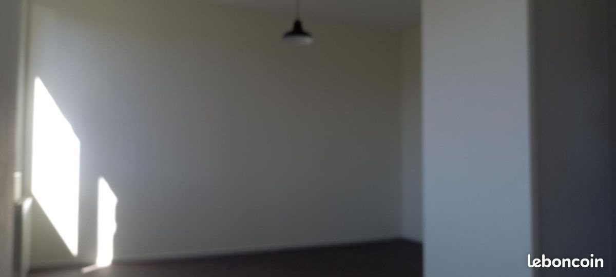 Appartement à louer, 26m², Saint-Etienne
