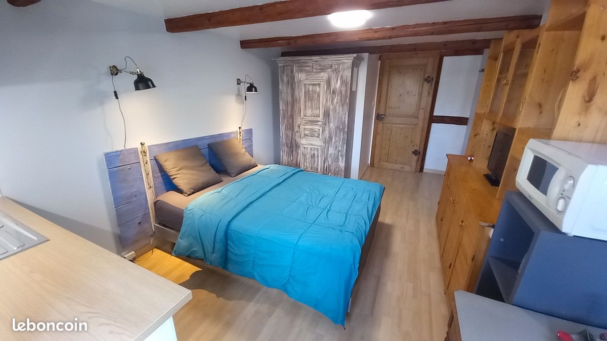 Appartement à louer, 15m², La Wantzenau