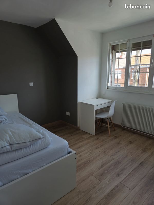 Maison à louer, 54m², Templeuve