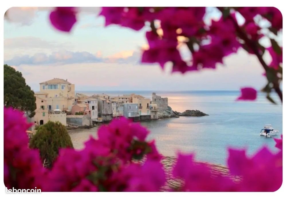 Appartement à louer, 26m², Brando