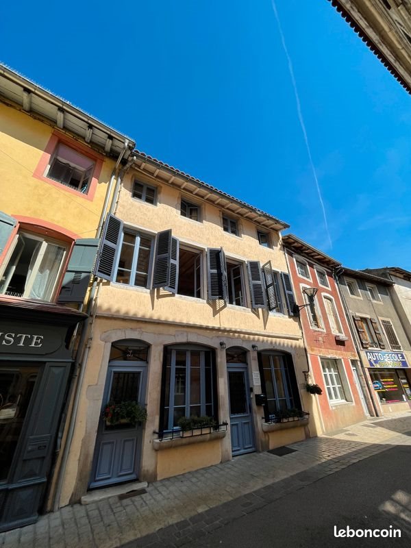 Maison à vendre, 250m², Tournus