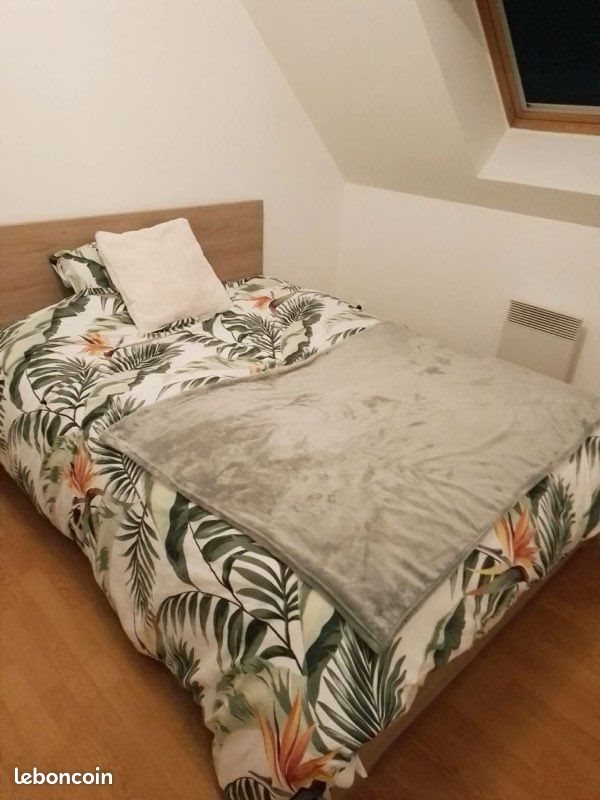 Appartement à louer, 38m², Berck