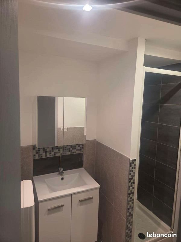 Appartement à louer, 39m², Bourg-lès-Valence