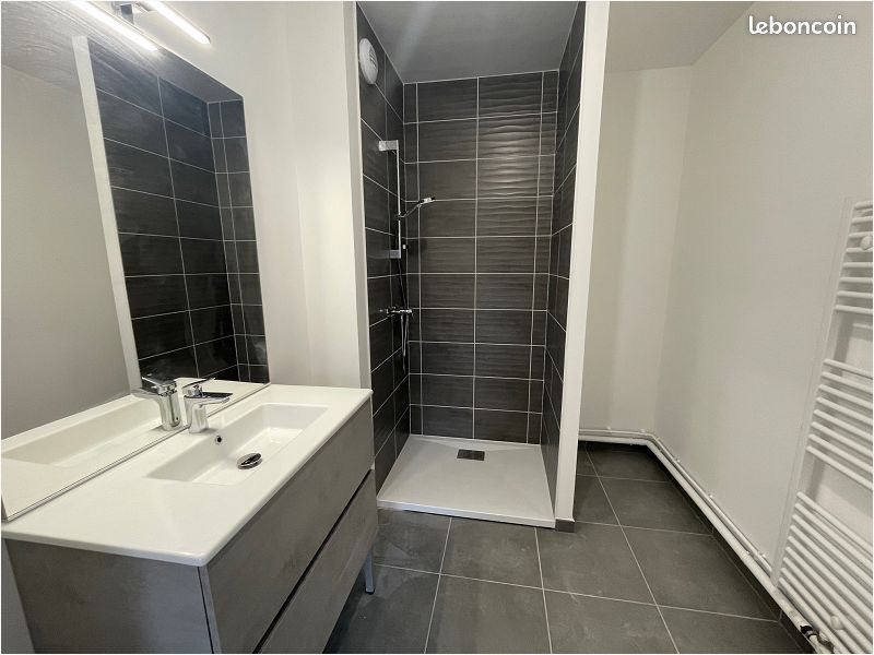 Appartement à louer, 41m², Lezennes