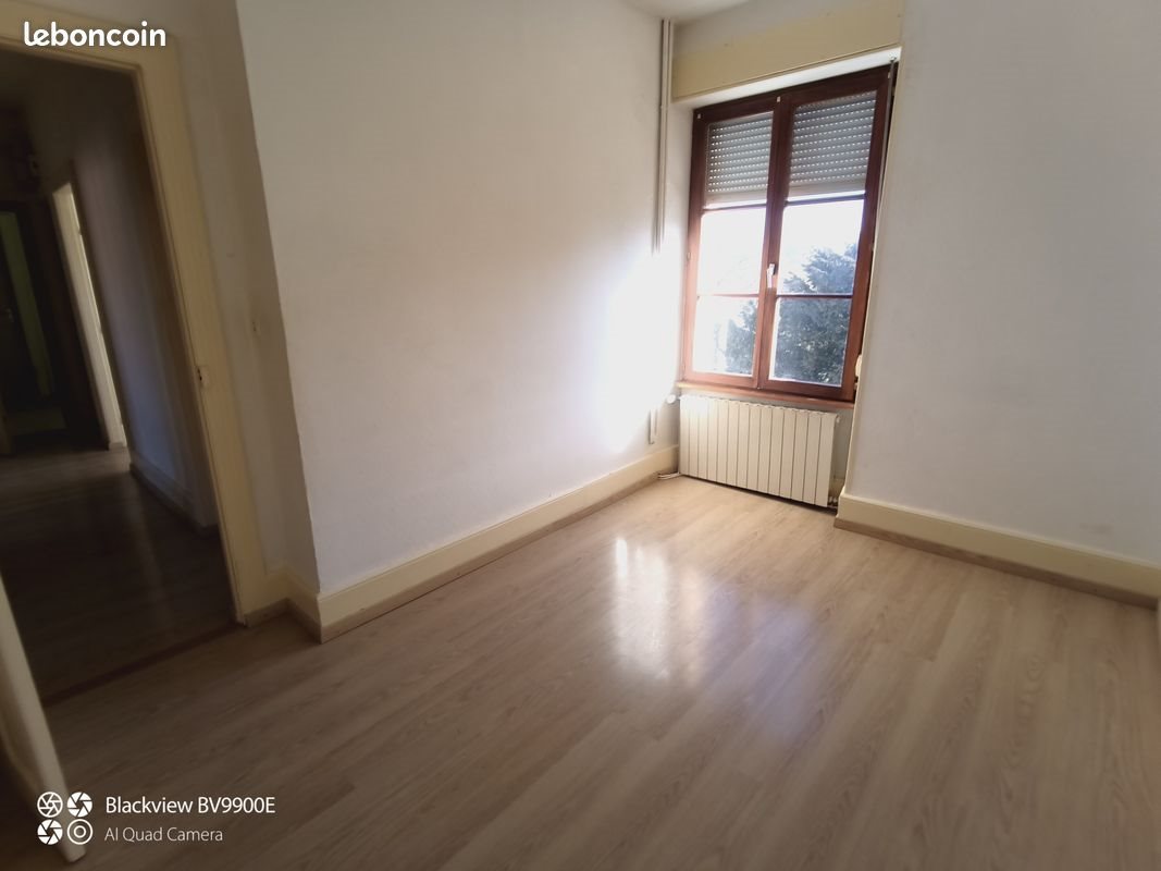 Appartement à louer, 48m², Delle