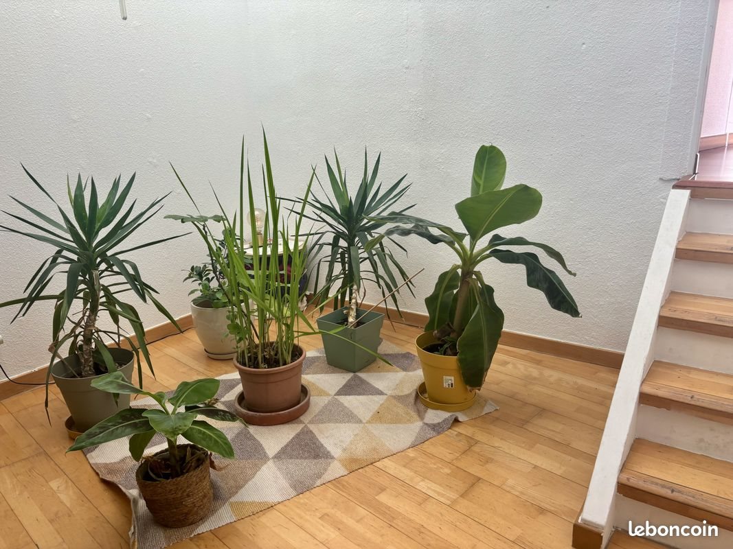 Appartement à louer, 142m², Perpignan