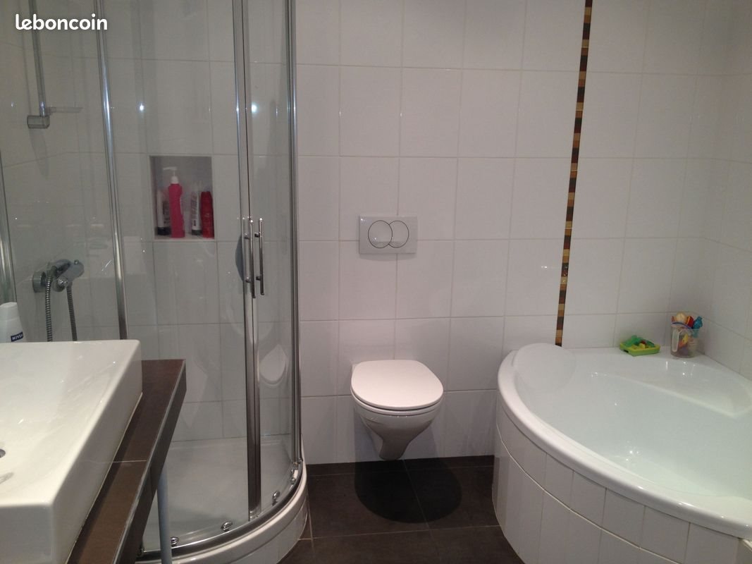 Appartement à vendre, 219m², Saint-Etienne