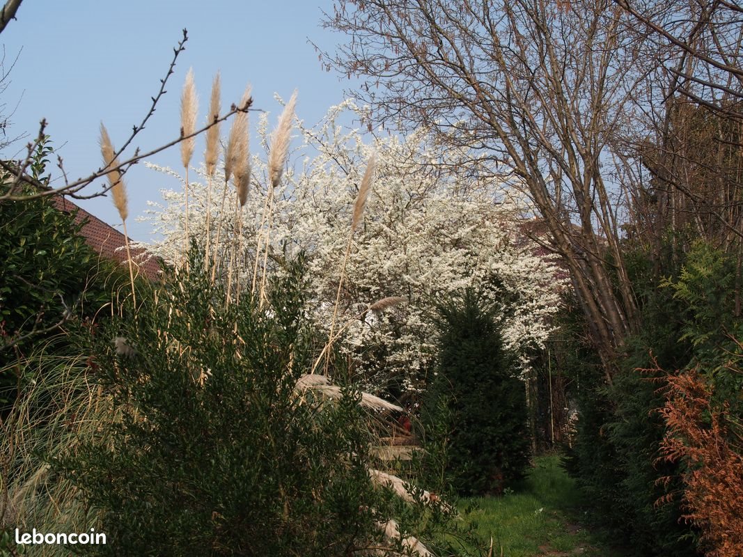 Maison à vendre, 250m², Taverny