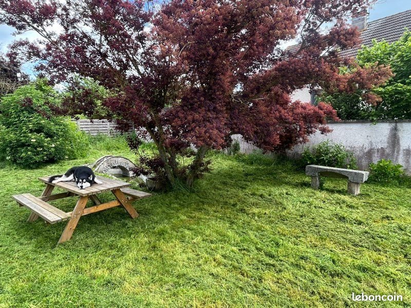 Maison à vendre, 113m², Cherisy